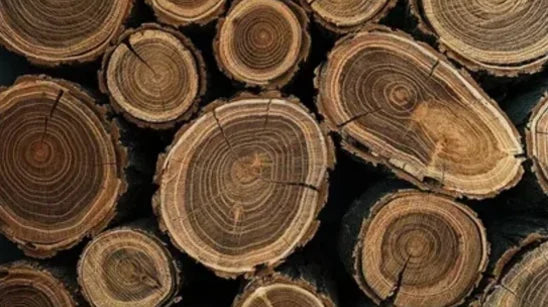 Was ist Lyocell? Material-Guide für die Faser aus Holz