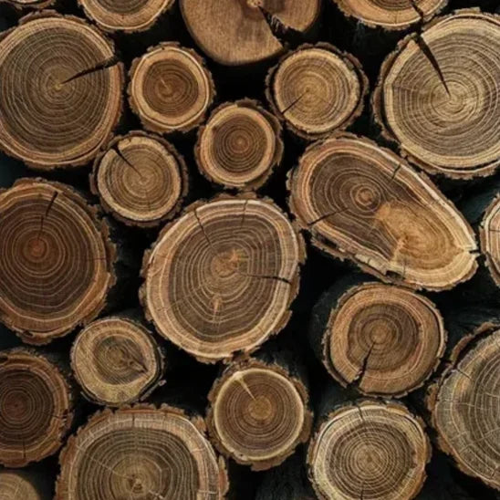 Was ist Lyocell? Material-Guide für die Faser aus Holz