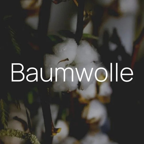 Bio-Baumwolle – Naturfaser aus kontrolliert biologischem Anbau