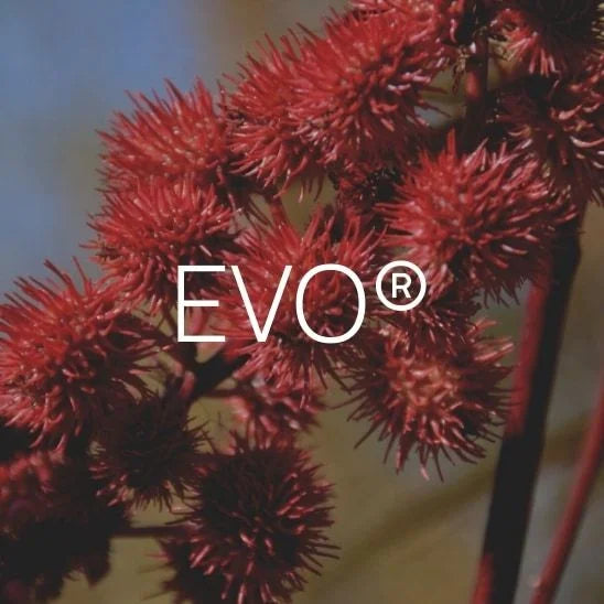 EVO – pflanzliche Nylon-Alternative aus Rizinusöl