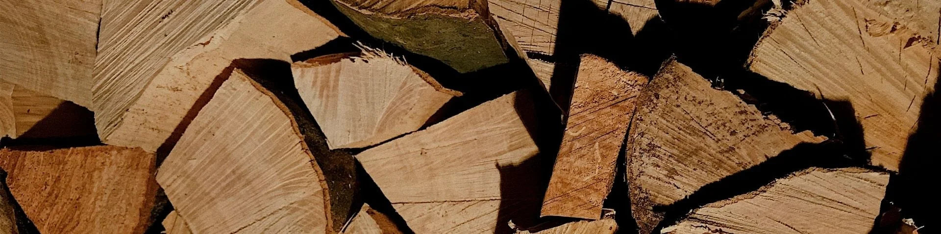 Detailaufnahme von Buchenholz – Rohstoff für Modal-Stoff