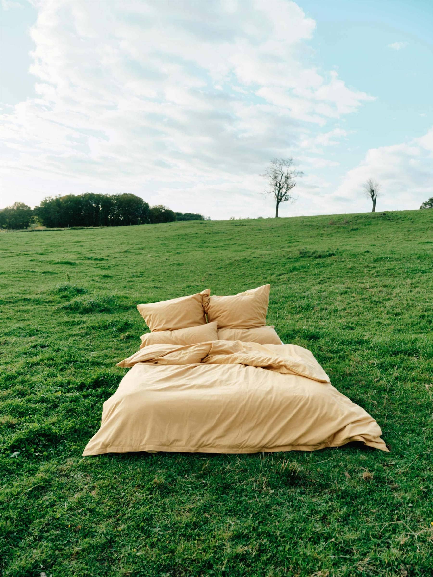Cotton Select pillowcase honey 40x80
