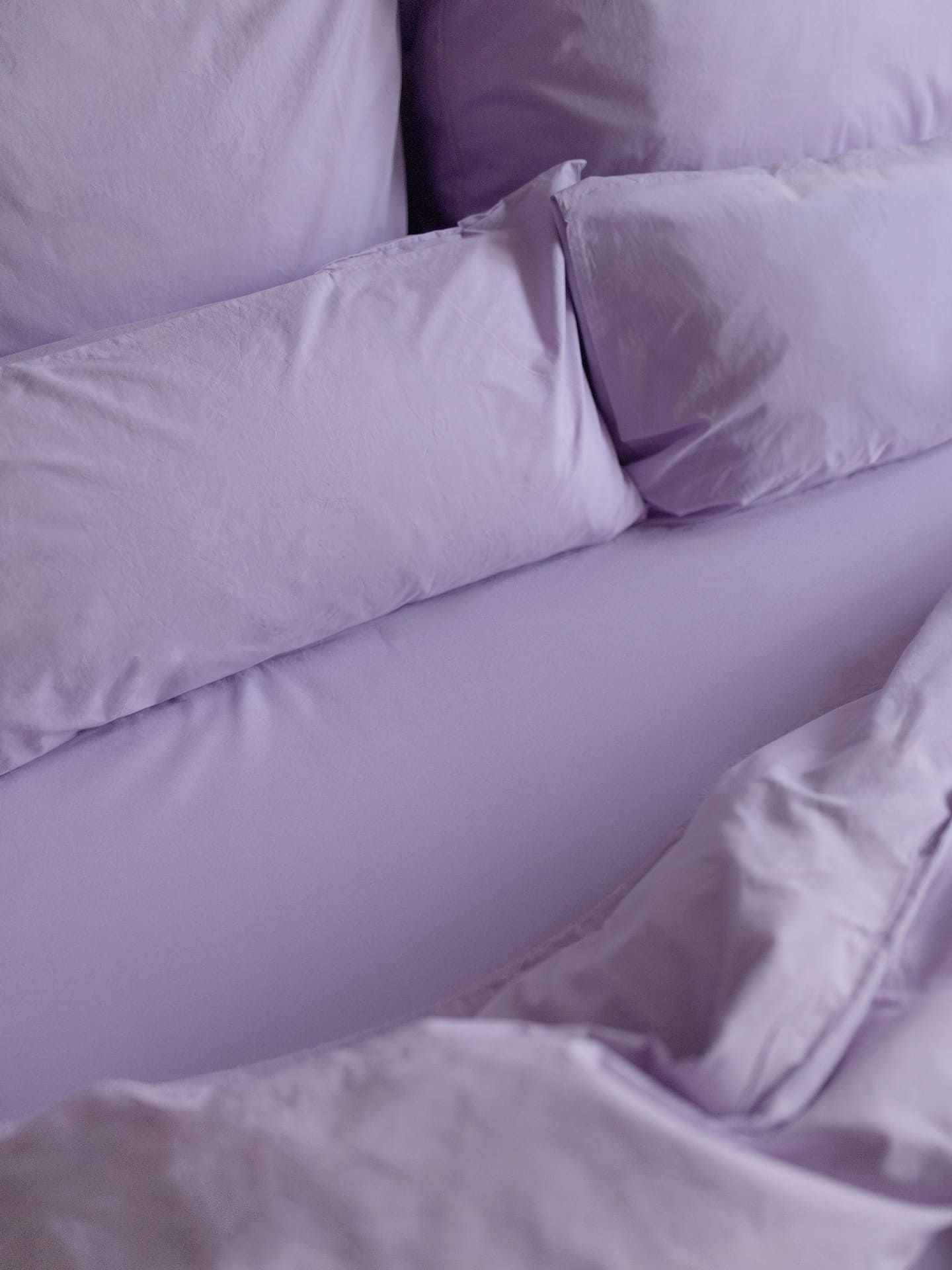 Finn lilac 4
