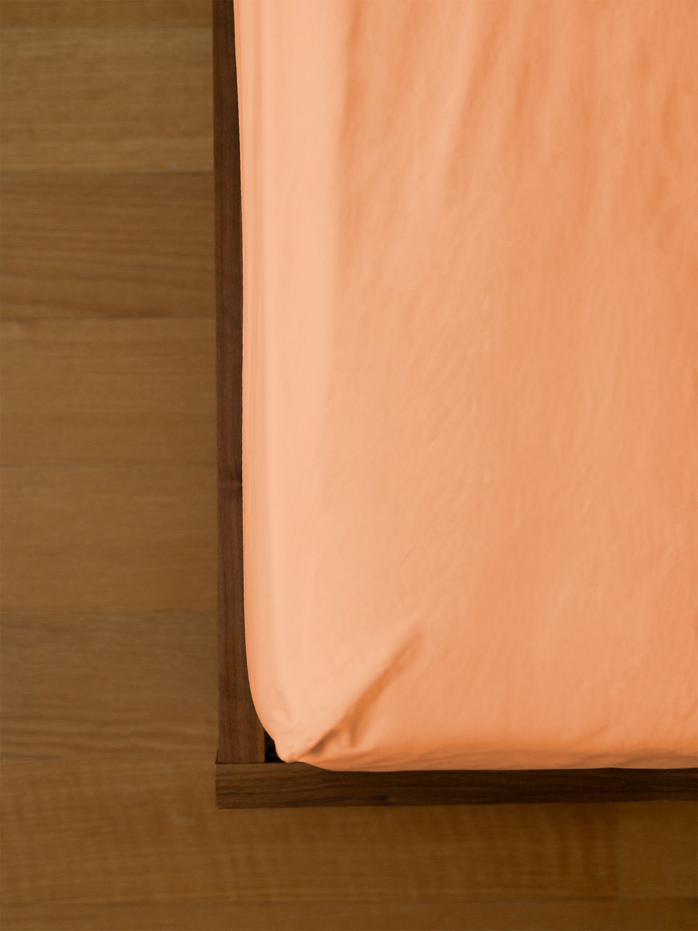 Cotton Select Spannbettlaken papaya 1