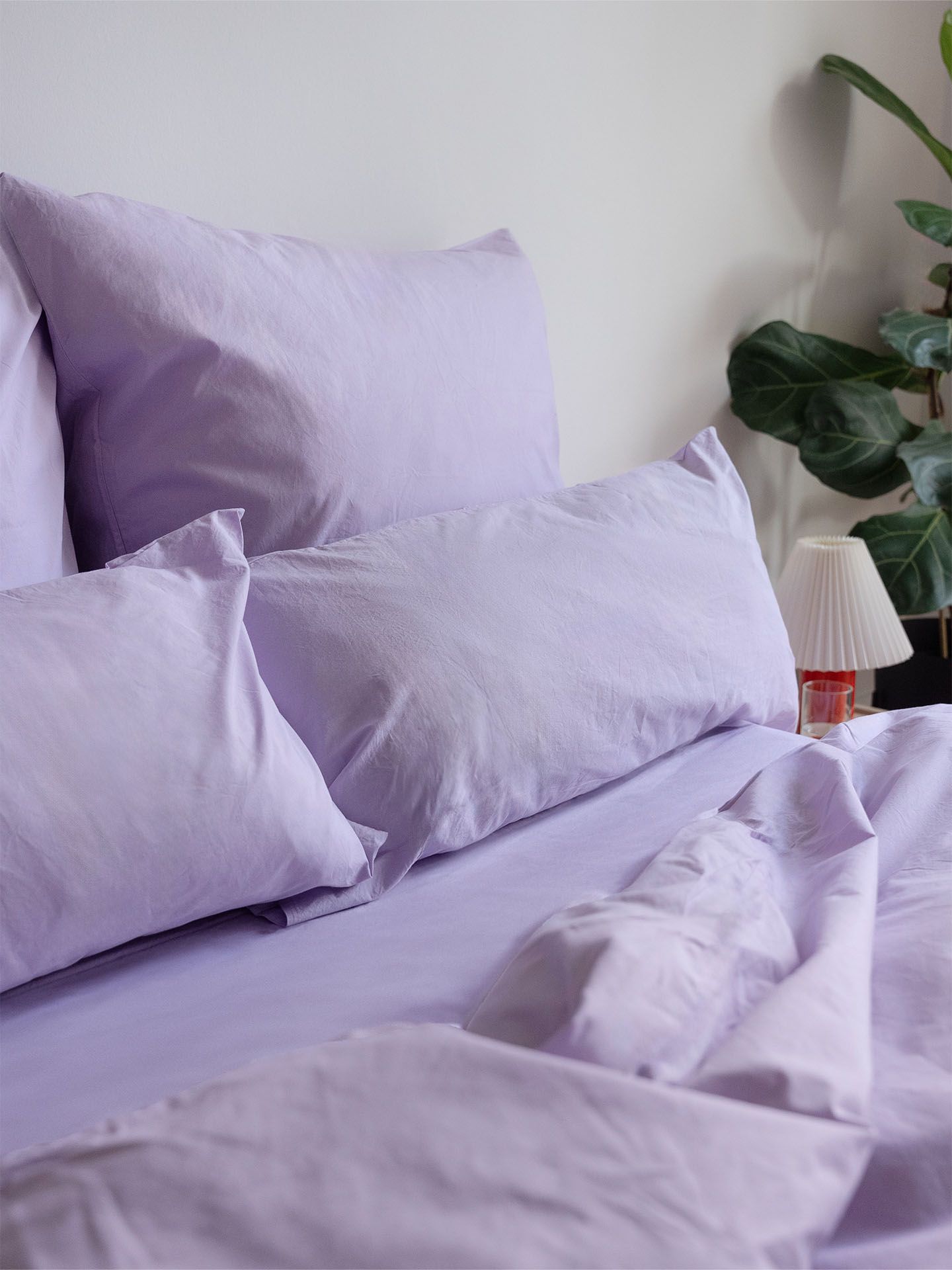 Cotton Select lilac 3