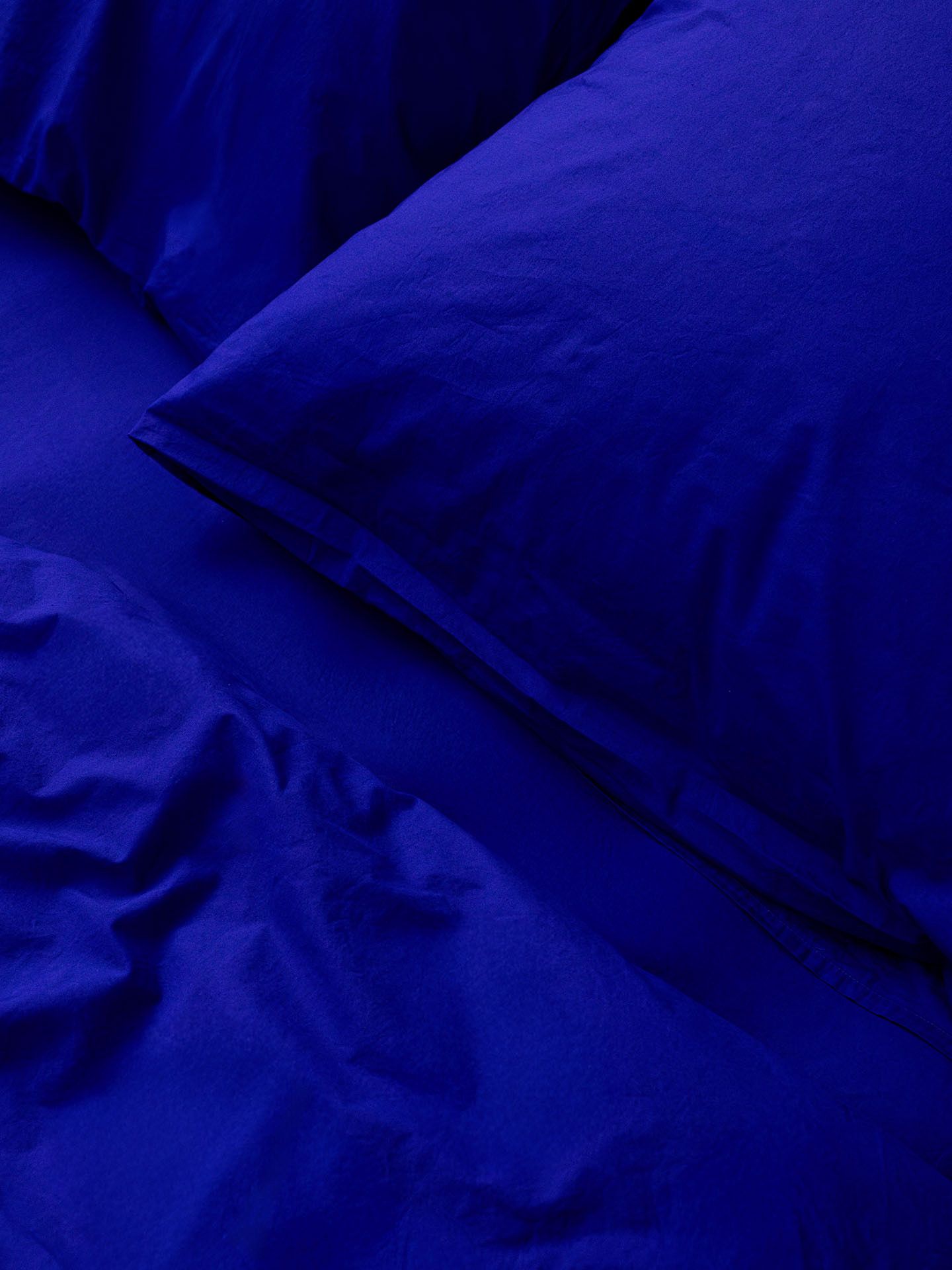 Fred knallblau 8