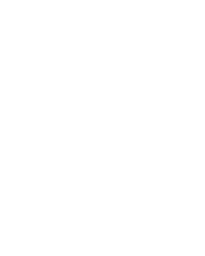 Play Icon