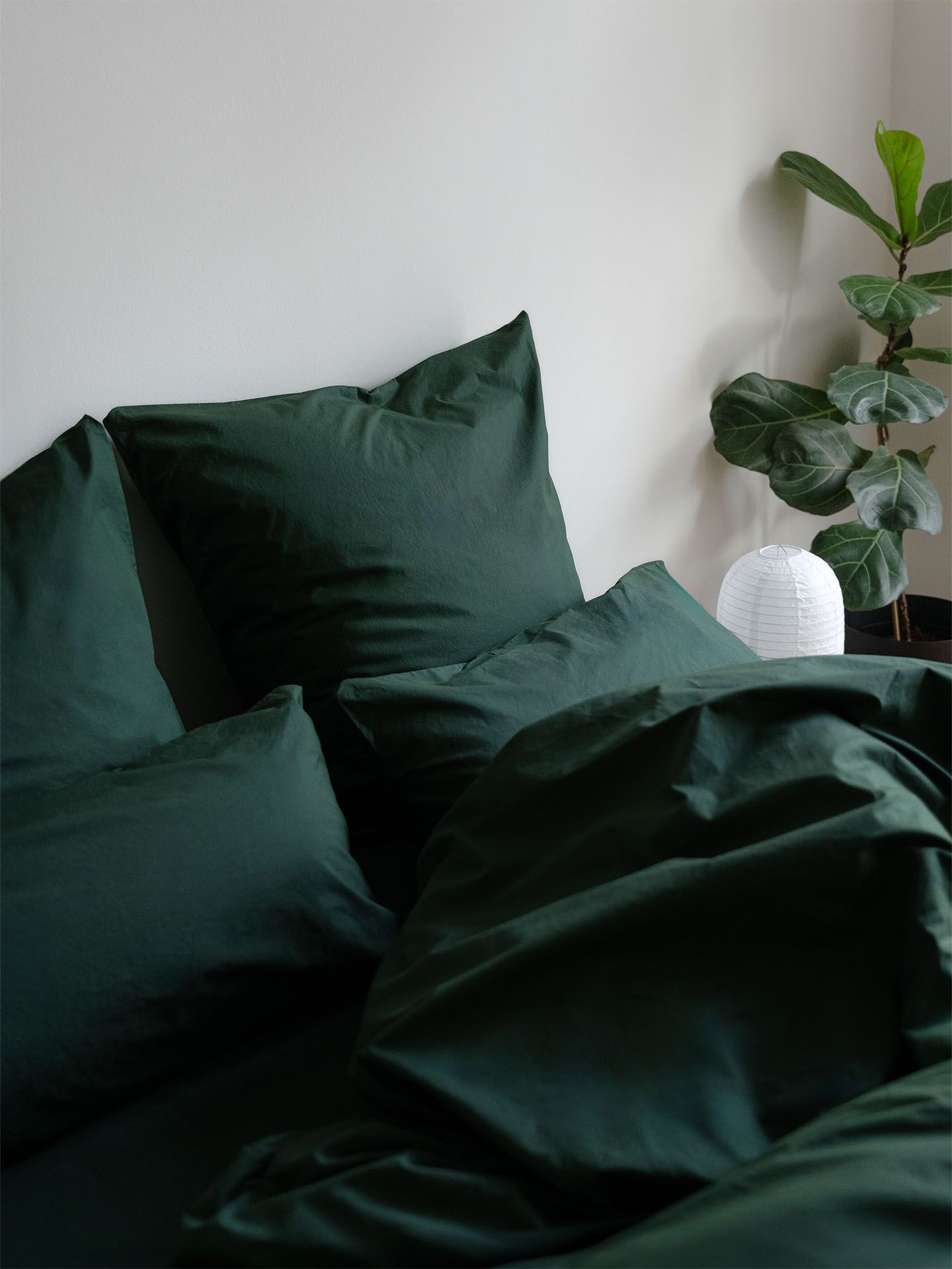 Cotton Select Spannbettlaken waldgrün 4