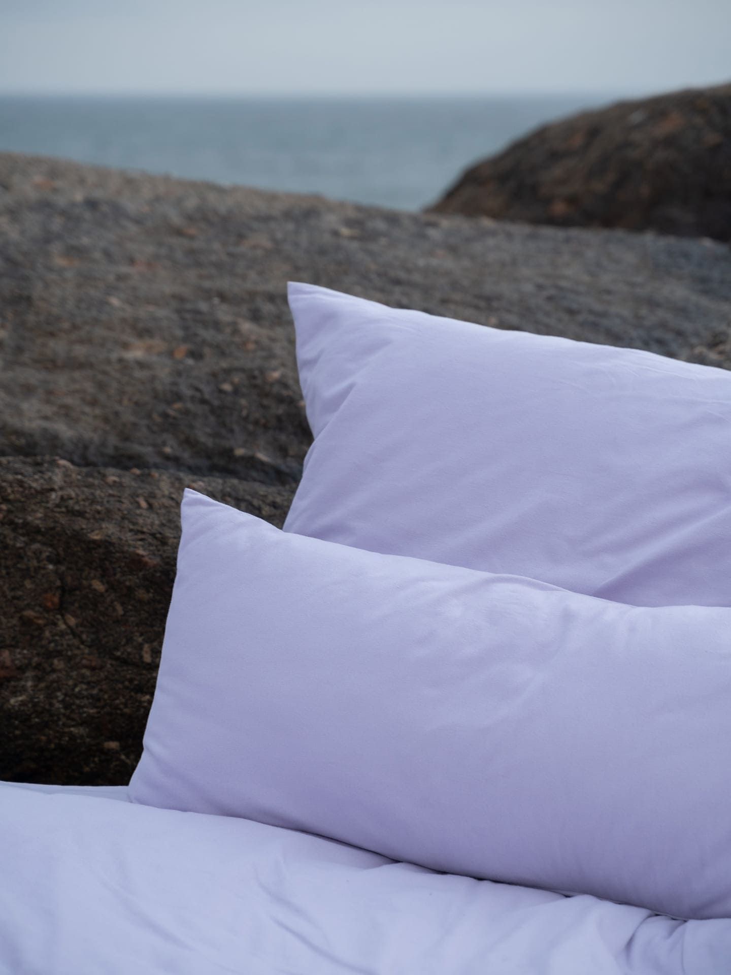 Cotton Select Kopfkissenbezug lavendel 2